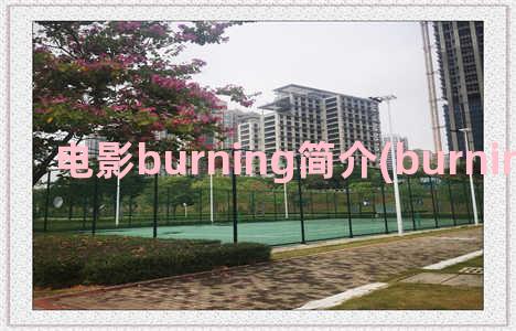 电影burning简介(burning bright电影)